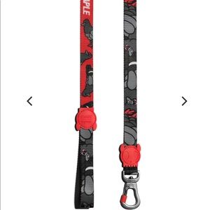 Zee.dog x Staple pigeon leash XS